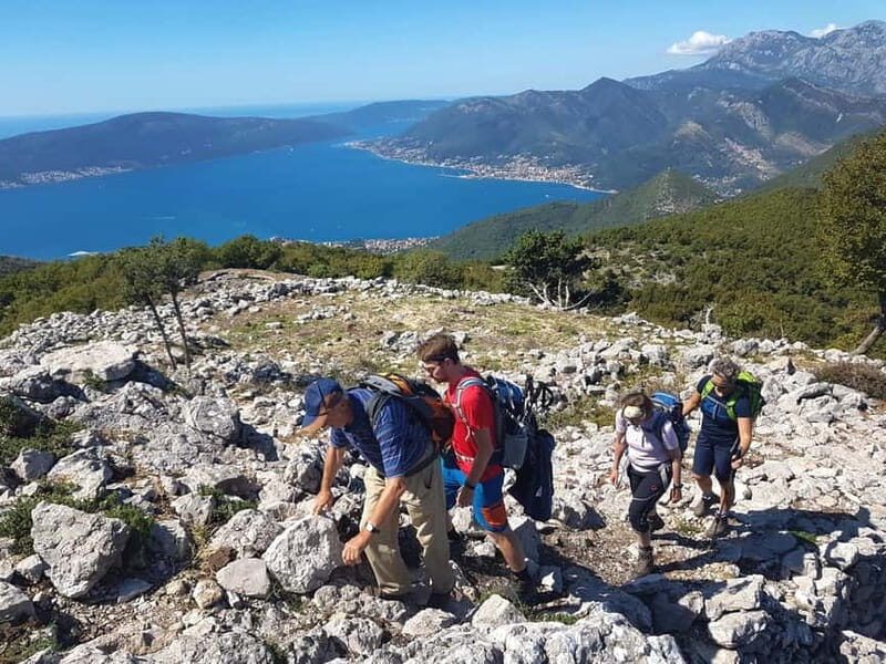 Hiking Vrmac peninsula with panoramic view on Kotor bay - Key Points