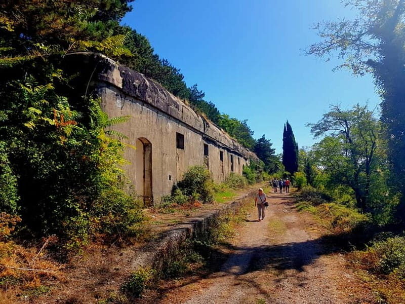 Hiking Vrmac peninsula with panoramic view on Kotor bay - Why This Tour Is Worth Considering