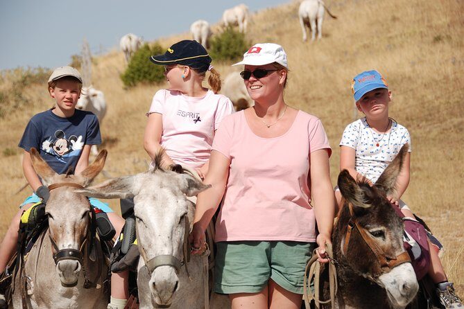 Hiking with donkeys - A Deep Dive into the Donkey Hiking Experience in Umbria