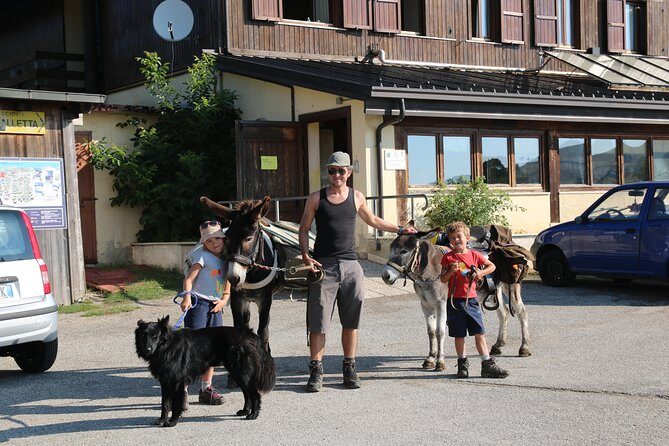 Hiking with donkeys - FAQs