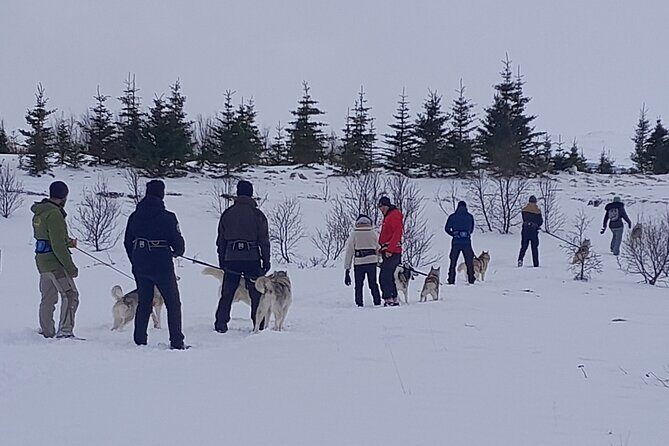 Hiking with Husky in Akureyri - Practical Details