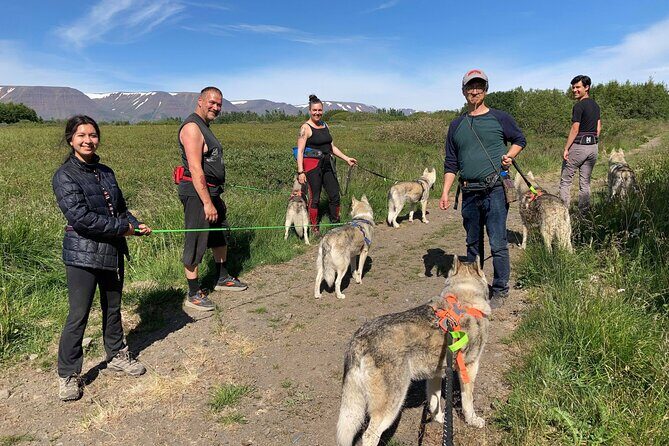 Hiking with Husky in Akureyri - Final Thoughts