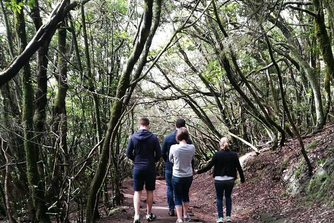 hikking tour in Anaga - Discover Tenerife’s Natural Beauty with a Hiking Tour in Anaga