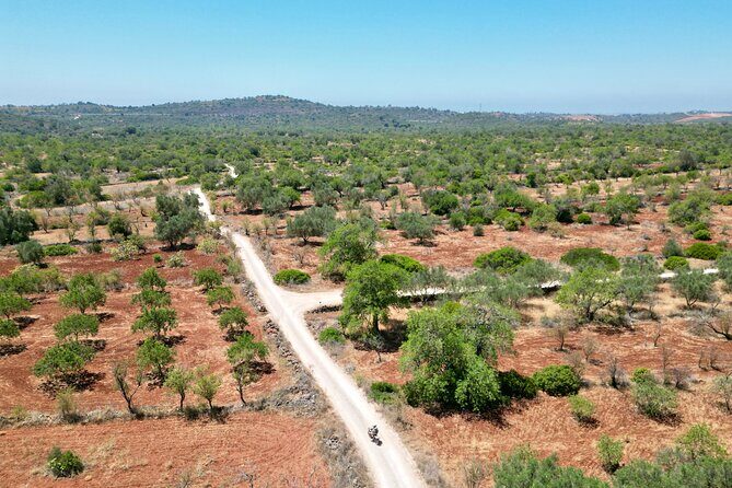 Hills & Thrills: 4 Hr Fonte da Benémola Electric Motorbike Tour - Hills & Thrills: 4 Hr Fonte da Benémola Electric Motorbike Tour Review