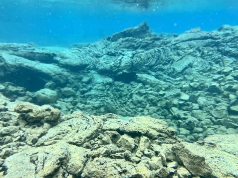 Hilo: 2 Tank Remote Reefs Diving Trip with Snacks and Drinks - The Experience: What to Expect from Start to Finish