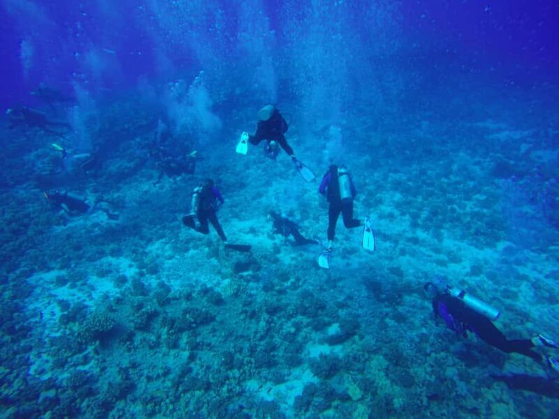 Hilo: 2 Tank Remote Reefs Diving Trip with Snacks and Drinks - Final Thoughts