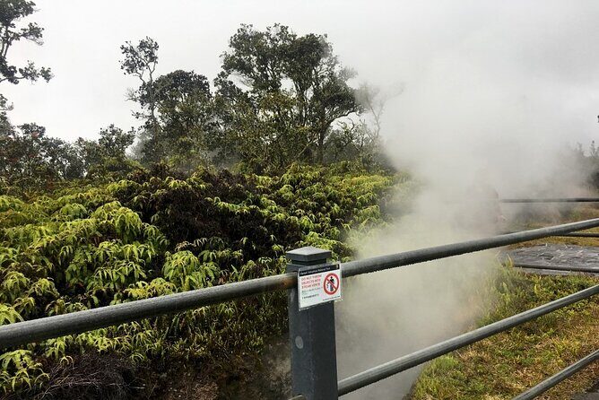 Hilo and Volcano National Park Tour a Cruise Ship Excursion w/PU - FAQs