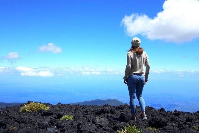Hilo and Volcano National Park Tour for Cruise Passengers at port - Key Points