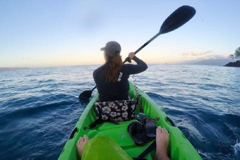 Hilo Bay & Coconut Kayak Adventure - Key Points