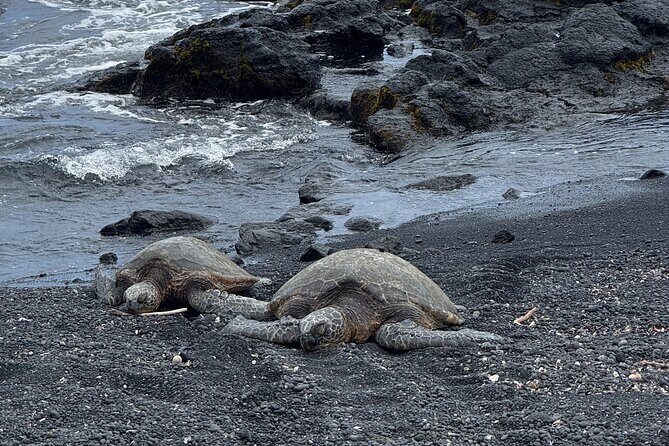 Hilo Excursion Volcanoes Akaka Falls And Black Sand Beach - Introduction: What to Expect from the Tour