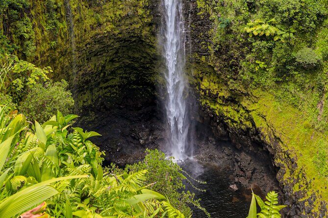 Hilo Excursion Volcanoes Akaka Falls And Black Sand Beach - Pricing and Value