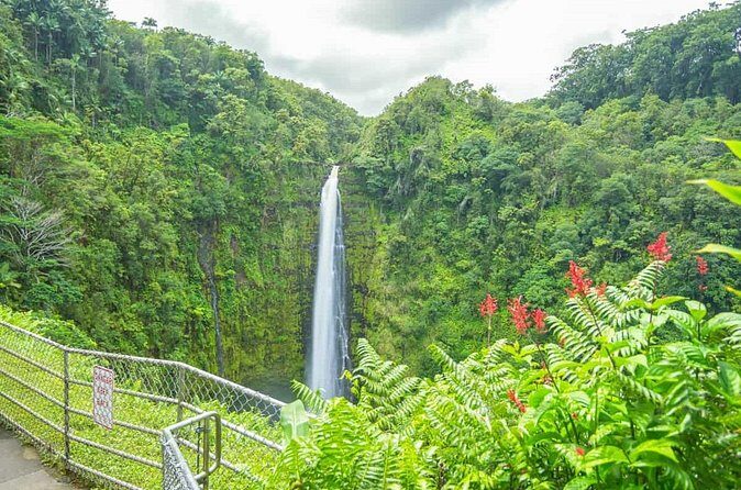 Hilo Finest Waterfalls and Town Tour - Who Should Consider This Tour?