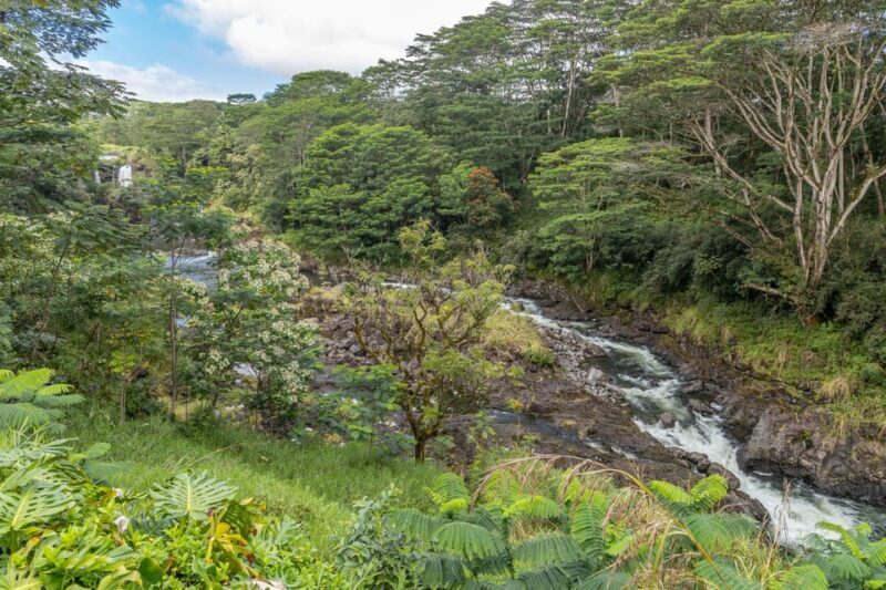 Hilo: Gardens, Waterfalls & Farmers Market Shore Excursion - Who Should Consider This Tour?