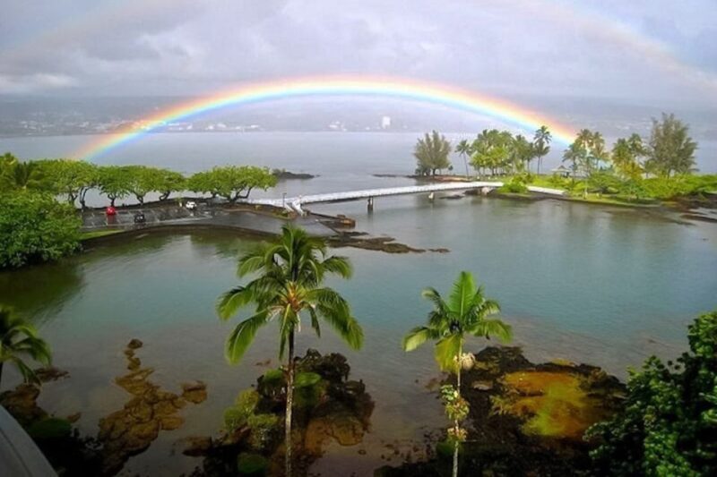 Hilo: Hilo Bay and Coconut Island SUP Guided Tour - Setting the Scene: What to Expect on Your Paddle