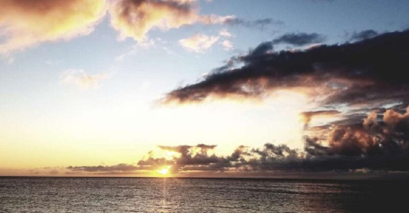 Hilo: Night Dive for Certified Divers - What Makes This Night Dive Stand Out?