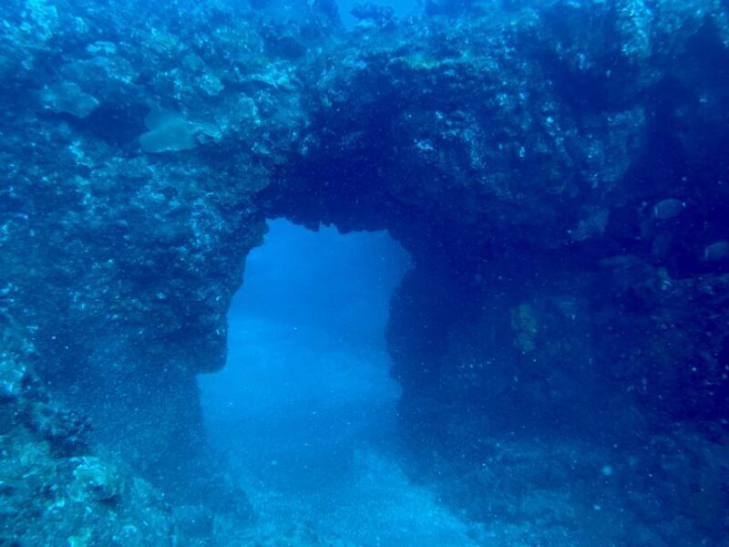 Hilo: Night Dive for Certified Divers - Practical Considerations and Value