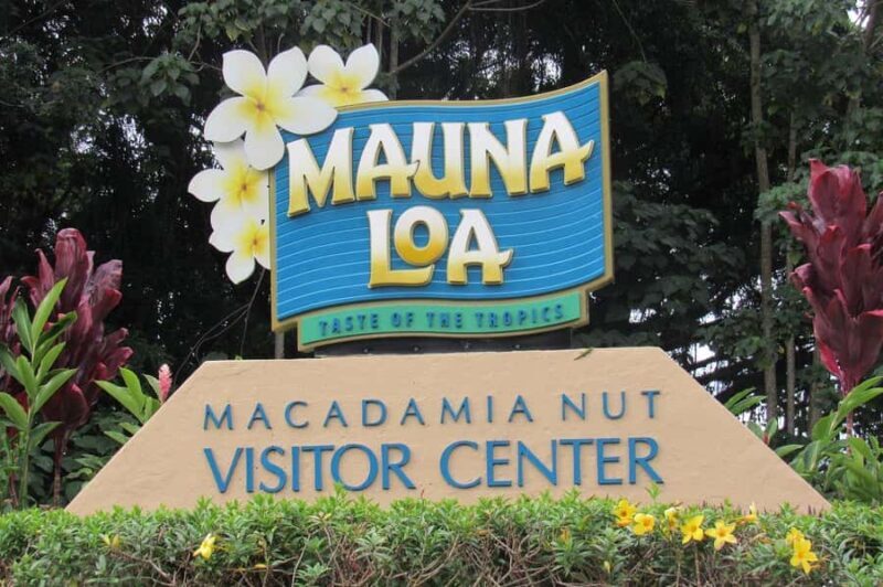 Hilo: Volcanoes National Park & Black Sand Beach - Who Should Consider This Tour?