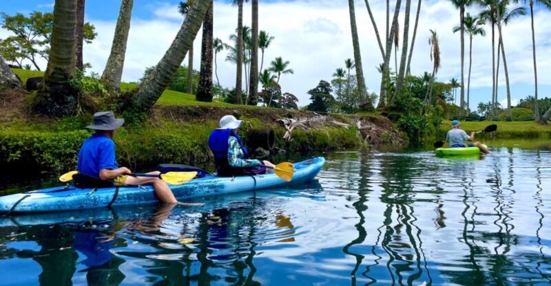 Hilo: Wailoa River to King Kamehameha Guided Kayaking Tour - The Iconic King Kamehameha Statue: A Cultural Highlight
