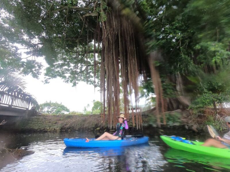 Hilo: Wailoa River to King Kamehameha Guided Kayaking Tour - Practical Details & Value