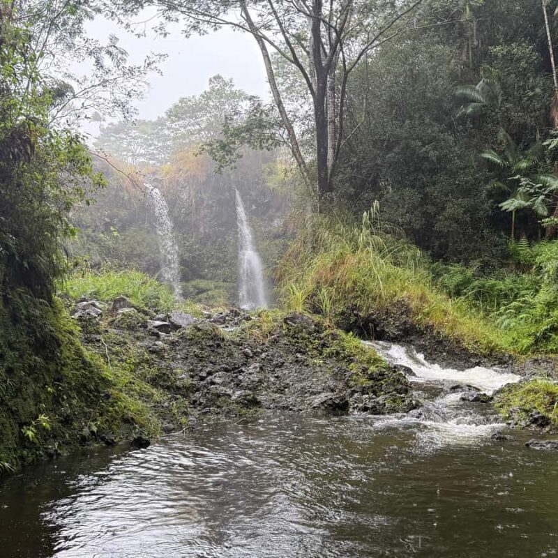 Hilo: Waterfall Hike and Swim with Native Hawaiian - What’s Included and What’s Not