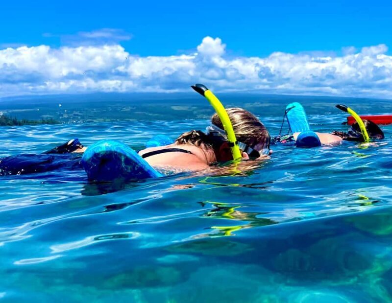 Hilo's Tropical Reef & Wildlife Boat Snorkel Adventure - Authentic Experiences and Real Feedback