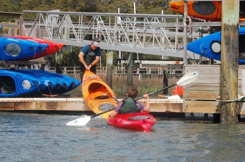 Hilton Head: 2-Hour Kayak Dolphin Nature Tour - Key Points