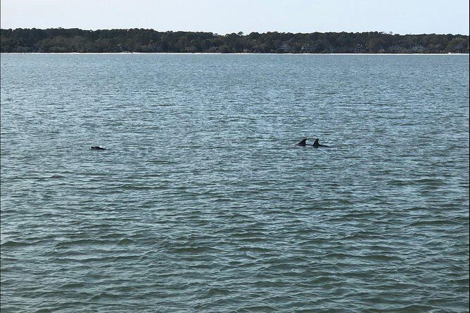 Hilton Head Crabbing Expedition Boat Cruise - Key Points
