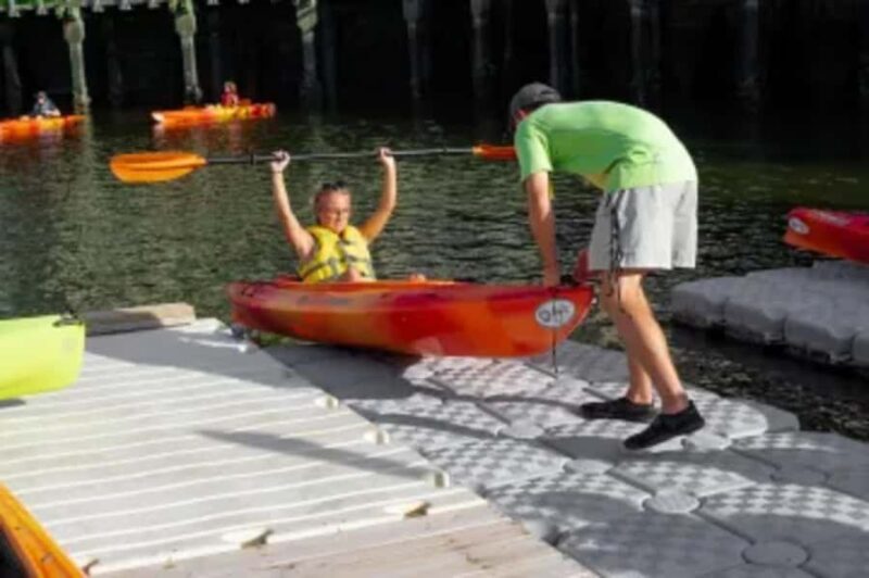 Hilton Head: Guided Kayak Nature Tour with Wildlife Spotting - The Experience and Its Value