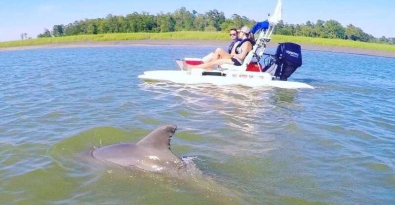 Hilton Head Island: 2-Hour Guided Creek Cat Tour - An In-Depth Look at the Hilton Head Creek Cat Tour