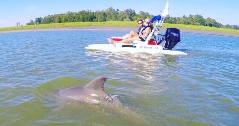 Hilton Head Island: 2-Hour Guided Creek Cat Tour - Final Thoughts: Who Should Book?
