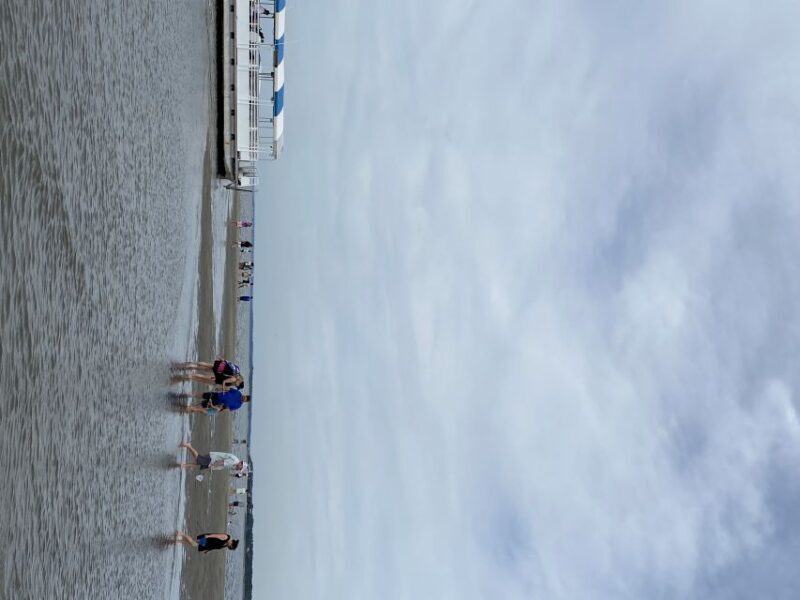 Hilton Head Island: Disappearing Island and Dolphin Tour - A Detailed Look at the Tour
