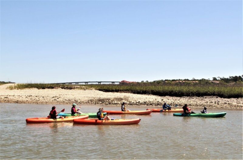 Hilton Head Island: Guided Kayak Tour with Coffee - A Deep Dive into the Kayak & Coffee Experience