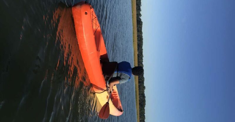 Hilton Head Island: Guided Kayak Tour with Coffee - Practical Tips & What to Bring