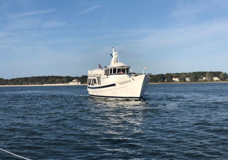 Hilton Head Island: Ocean Dolphin Cruise - The Experience in Detail: Why It Works