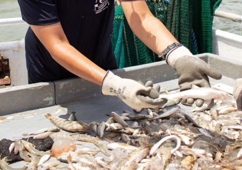 Hilton Head Island: Shrimp Trawling Boat Tour - Exploring Hilton Head Island’s Shrimp Trawling Boat Tour: An Authentic Low Country Experience