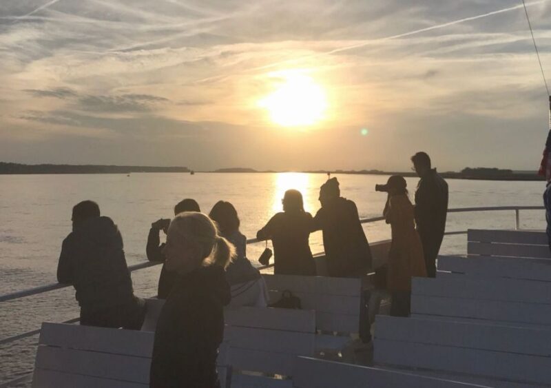 Hilton Head Island: Sunset Dolphin Cruise - What to Expect: A Closer Look at the Sunset Dolphin Cruise