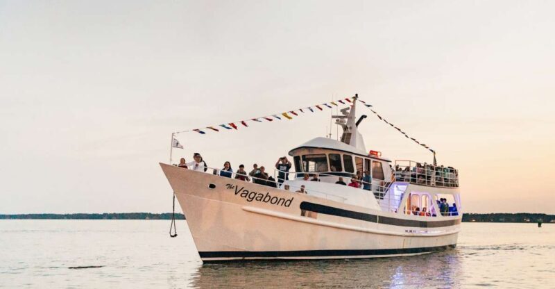 Hilton Head Island: Sunset Dolphin Cruise - The Dolphin Encounter: Close and Personal