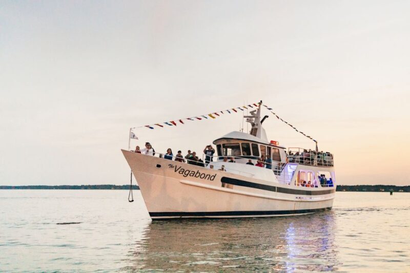 Hilton Head Island: Sunset Dolphin Cruise - Additional Comforts and Considerations