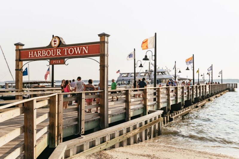Hilton Head Island: Sunset Dolphin Cruise - Value and Pricing: Is it Worth It?