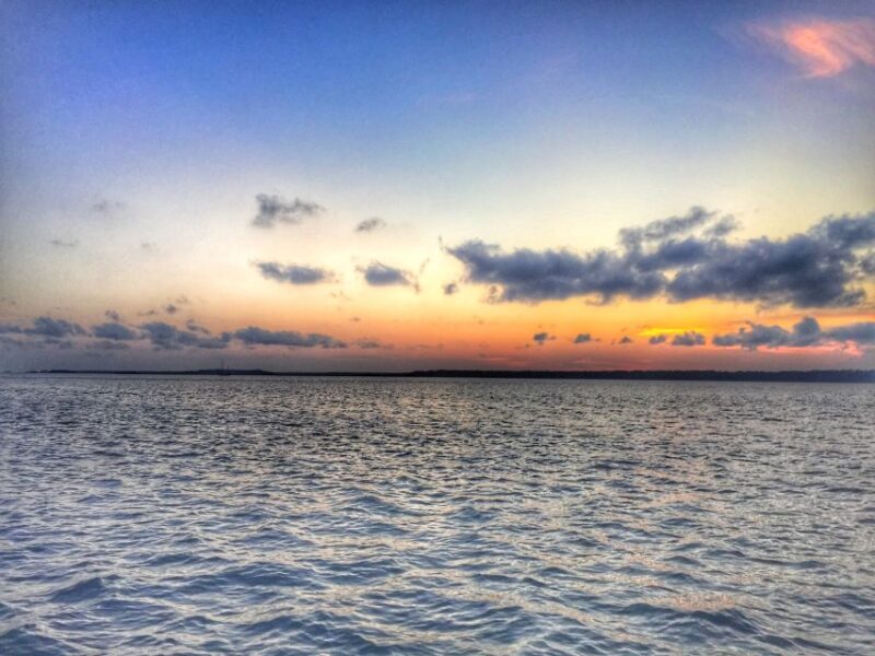 Hilton Head Island: Sunset Dolphin Watching Tour - Reviews Snapshot