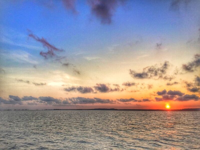 Hilton Head Island: Sunset Dolphin Watching Tour - Who Is This Tour Best For?