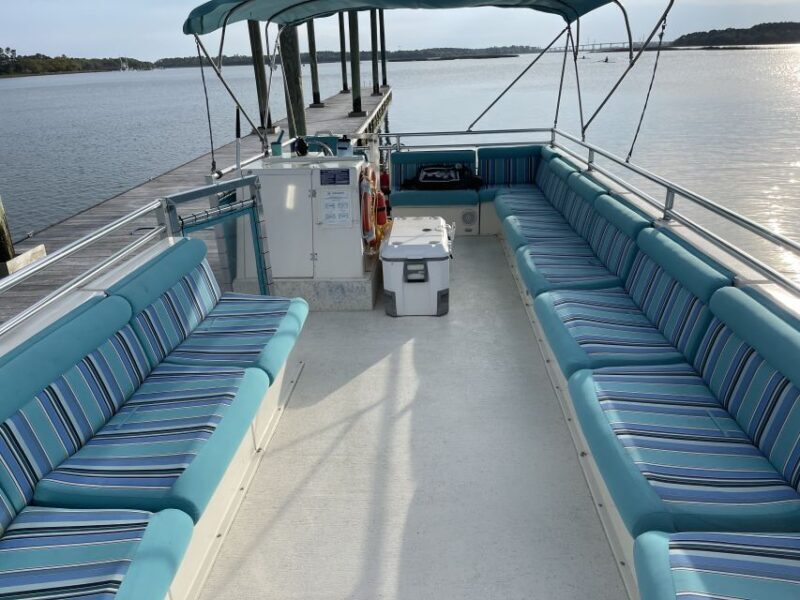 Hilton Head: Large Private Dolphin Tour, Dolphins Guaranteed - Who Will Love This Experience?