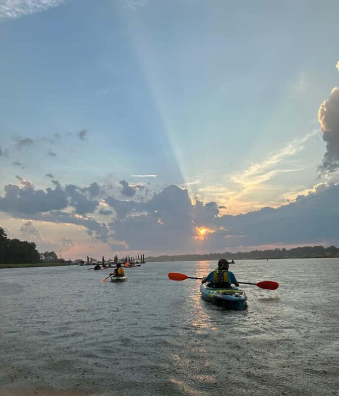 Hilton Head: Private 2-Hour Kayak Dolphin Nature Tour - The Itinerary in Detail