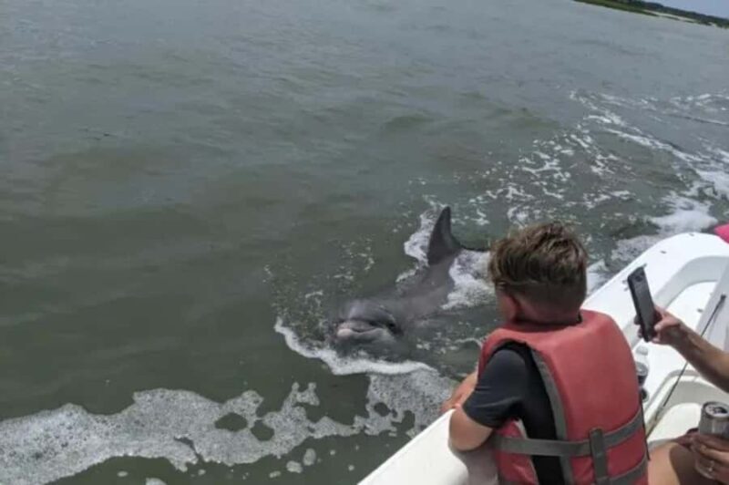 Hilton Head: Private Dolphins & Tubing Adventure - An In-Depth Look at the Hilton Head Dolphins & Tubing Tour