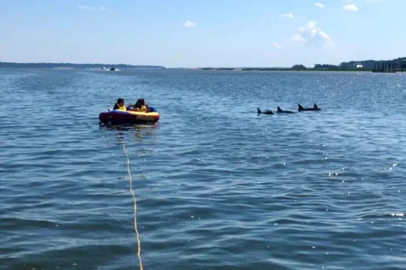 Hilton Head: Private Dolphins & Tubing Adventure - Practical Tips for Your Trip