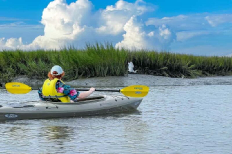Hilton Head: Private Outback Kayak Tour - Key Points