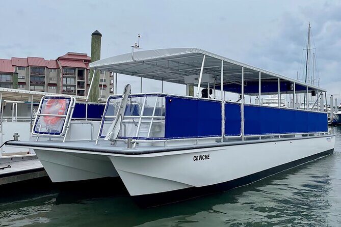 Hilton Head Sunrise Dolphin Tour - Hilton Head Sunrise Dolphin Tour: A Serene Morning Adventure