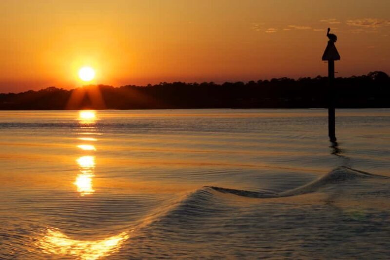 Hilton Head: Sunset Dolphin Cruise with Scenic Views - Key Points