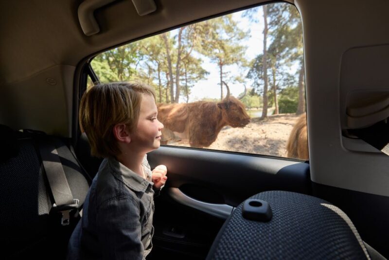 Hilvarenbeek: Safaripark Beekse Bergen Entry Ticket - Key Points