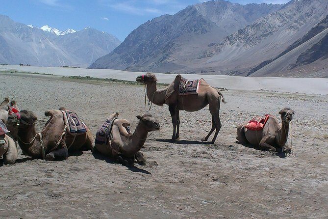 Himalayas Motorcycle Escapades - The Value and Who Should Consider It